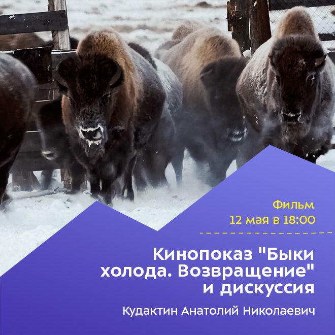 Кинопоказ «Быки холода. Возвращение» и дискуссия