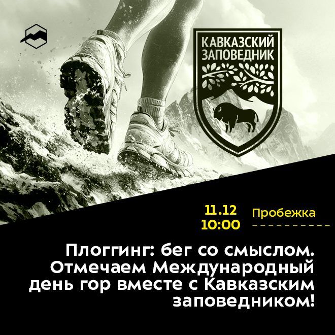 Плоггинг: бег со смыслом.Отмечаем Международный день гор вместе с Кавказским заповедником!