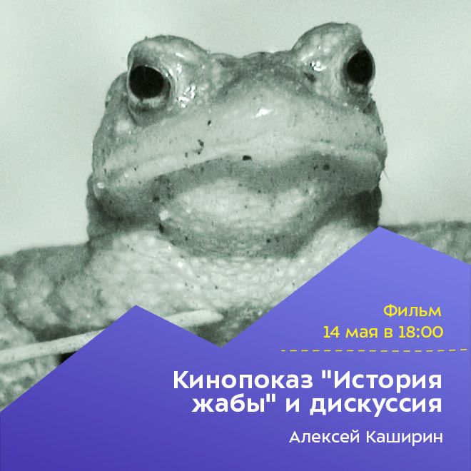 Кинопоказ «История жабы» и дискуссия