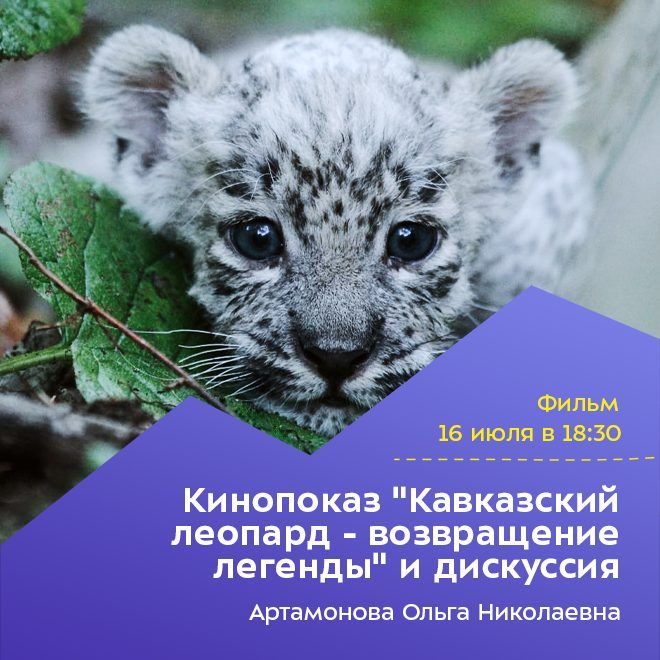 Кинопоказ «Кавказский леопард — возвращение легенды» и дискуссия