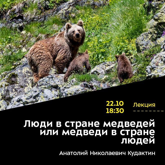Люди в стране медведей или медведи в стране людей
