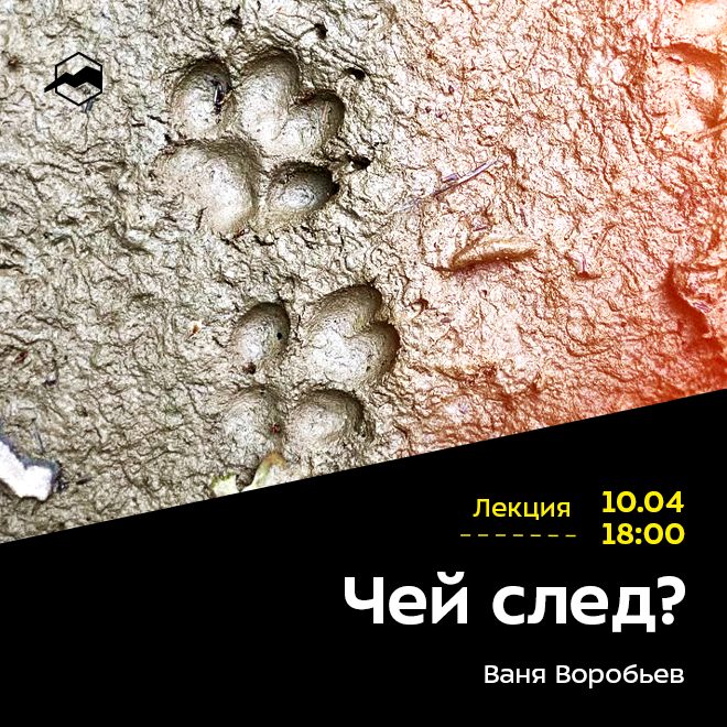 Чей след?